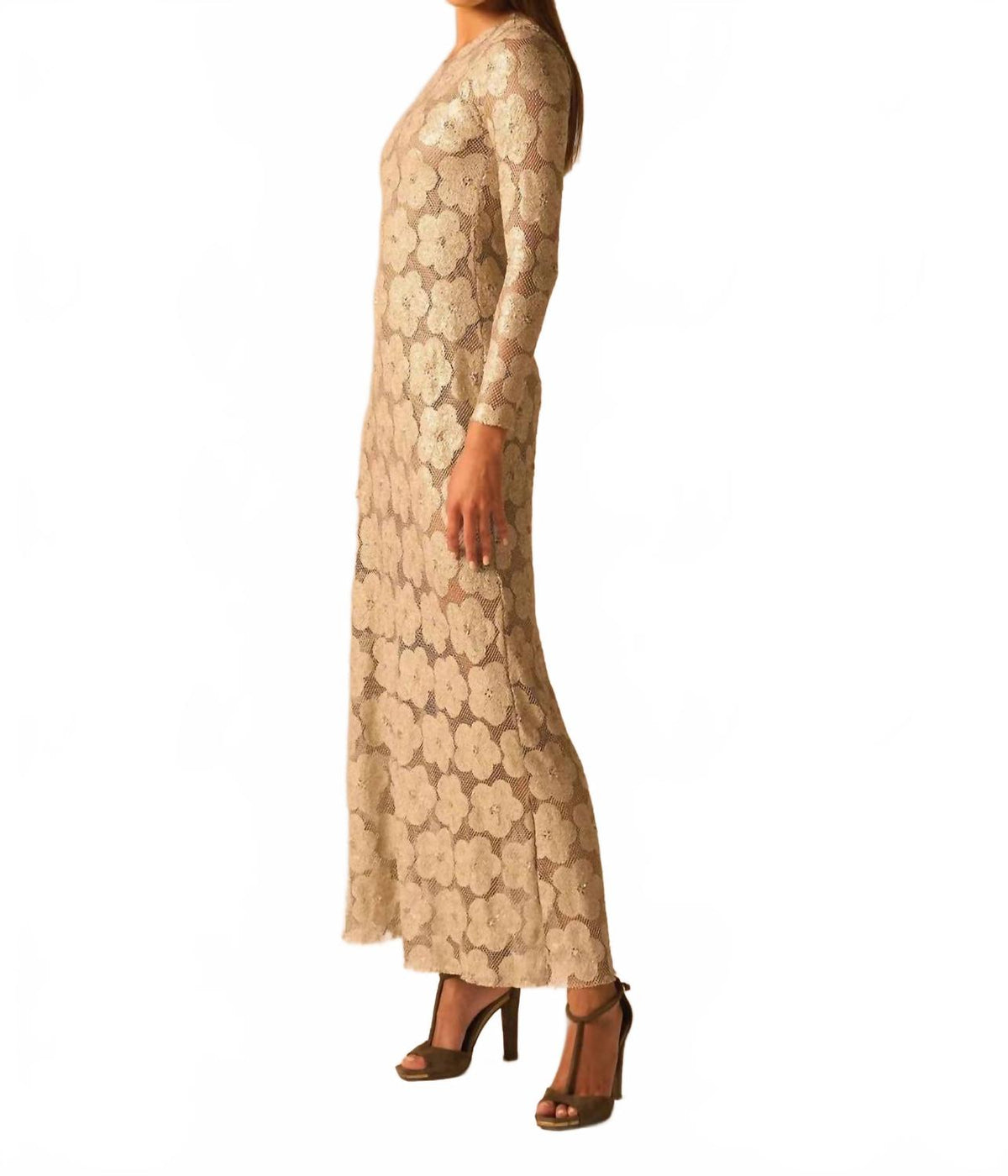 Petra Sequin Sheer Floral Lace Maxi Dress In Champagne