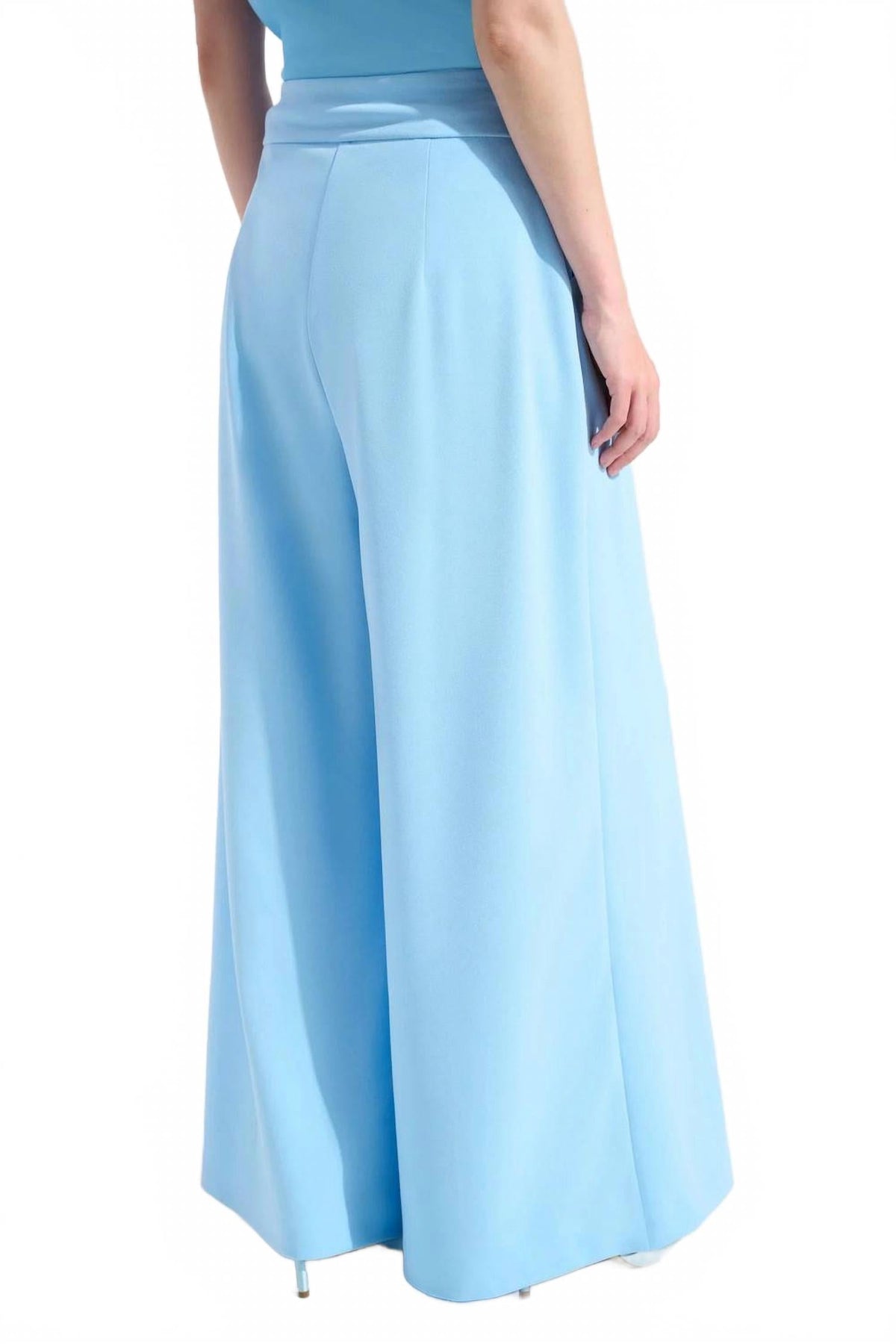 High Waist Pleated Wide Leg Pants In Sky Blue