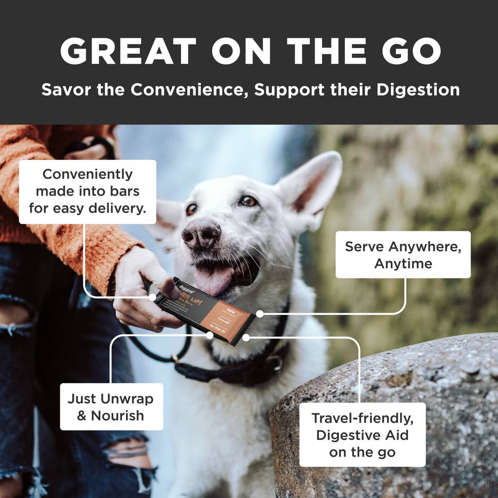Diggin Your Dog Firm Up Pumpkin Bars Digestive Aid for Dogs & Cats