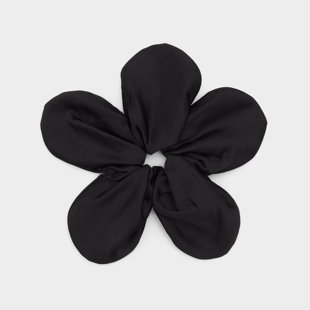 Daisydazzle