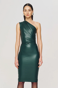 Ronny Kobo Pelle Dress