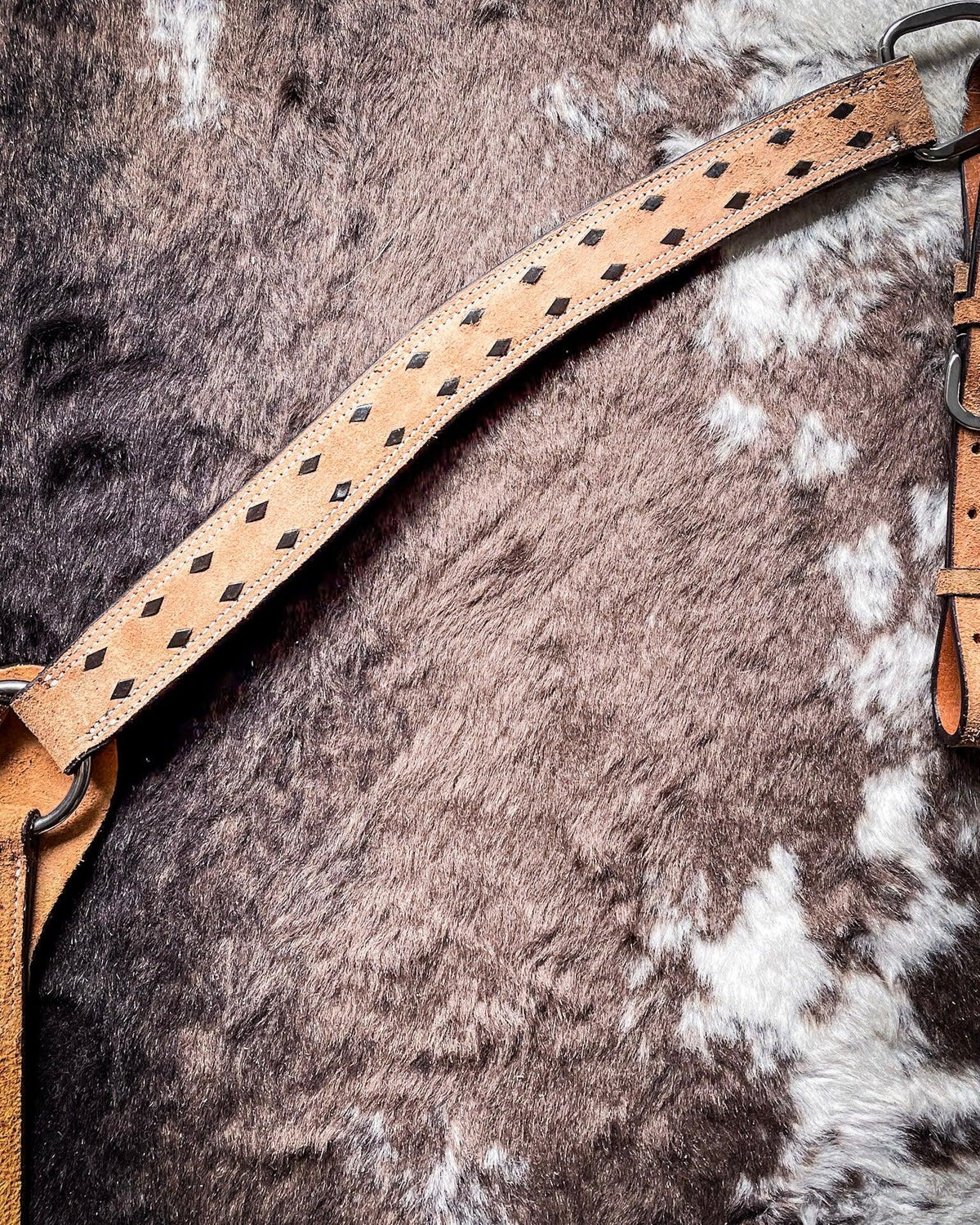 Royal King Branson Breast Collar
