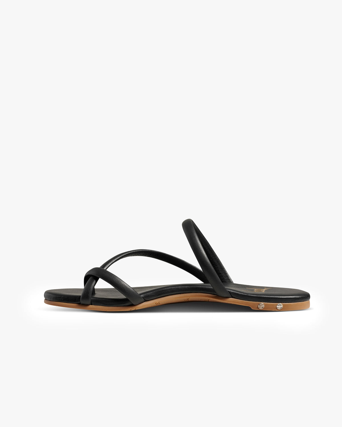 SUNBIRD - Black