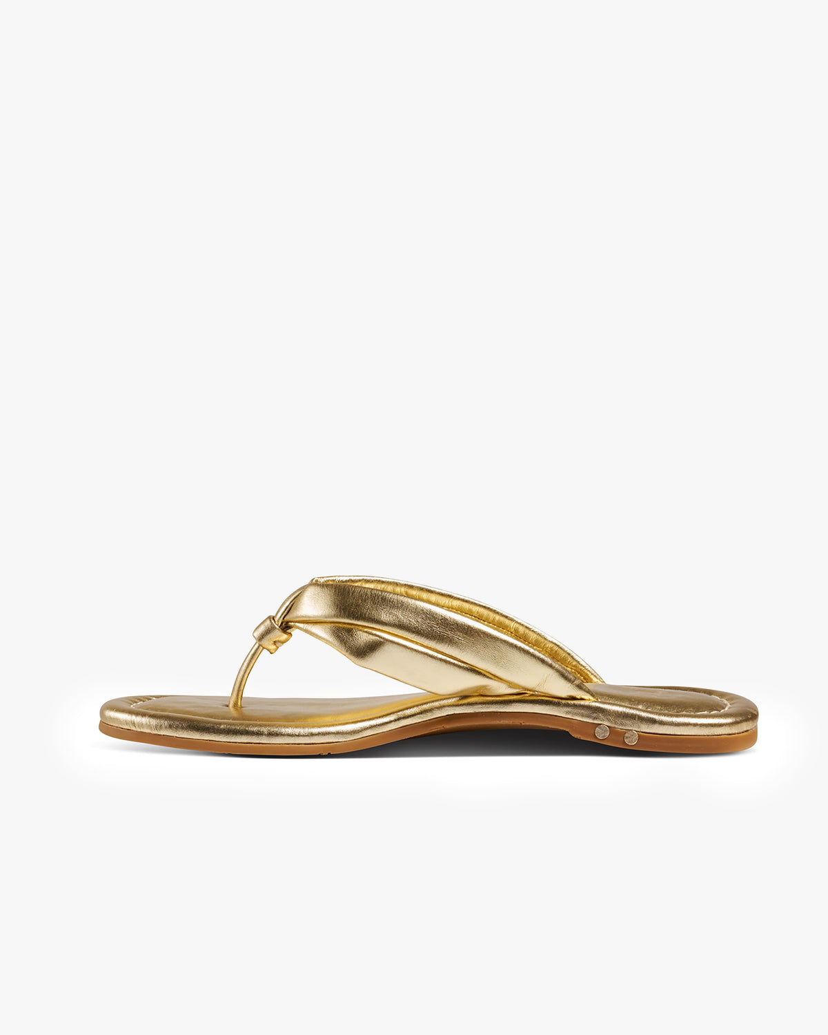 TOUCAN - Gold